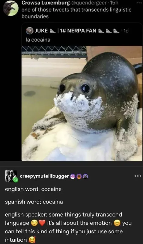 Cocaine Transcends Language