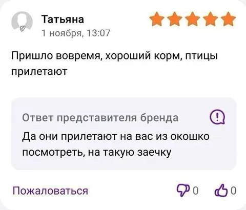 Птицы прилетают на корм