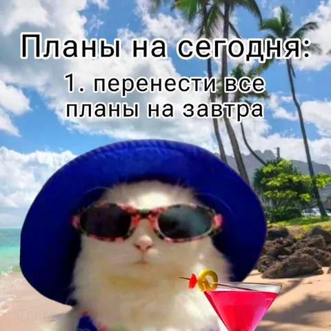 Планы на сегодня