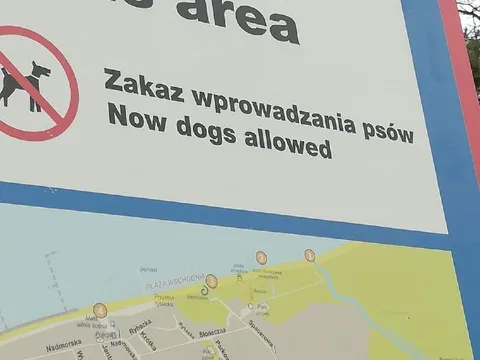 Zakaz wprowadzania psów