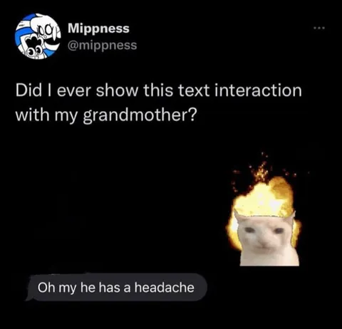 Grandmother Sees the Text Interaction