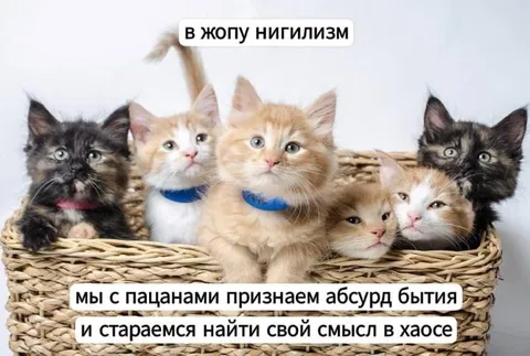 Котята против нигилизма