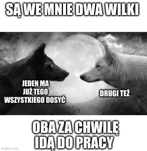 Dwa wilki idą do pracy