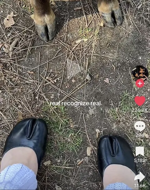 Real Recognize Real Hoof Shoes