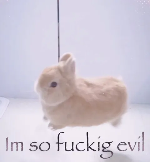 Evil Bunny