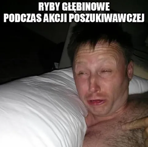 Ryby głębinowe podczas poszukiwań