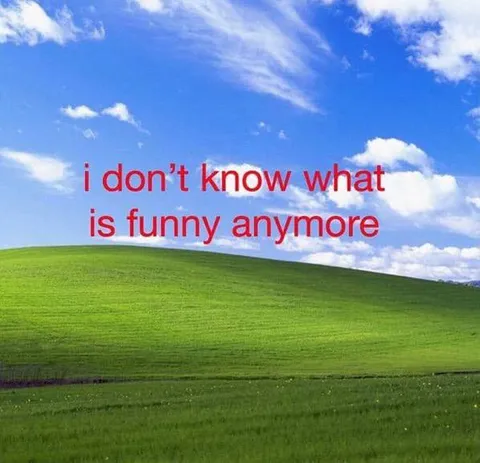 I Don't Know What's Funny Anymore