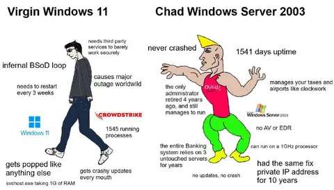 Virgin Windows 11 vs Chad Server 2003