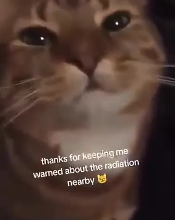Cat Warns About Radiation