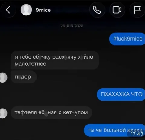 Смешная переписка с оскорблениями