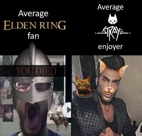 Average Elden Ring Fan vs Stray Enjoyer