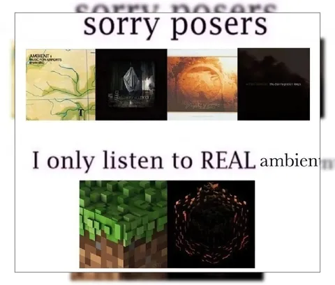 Sorry Posers Real Ambient