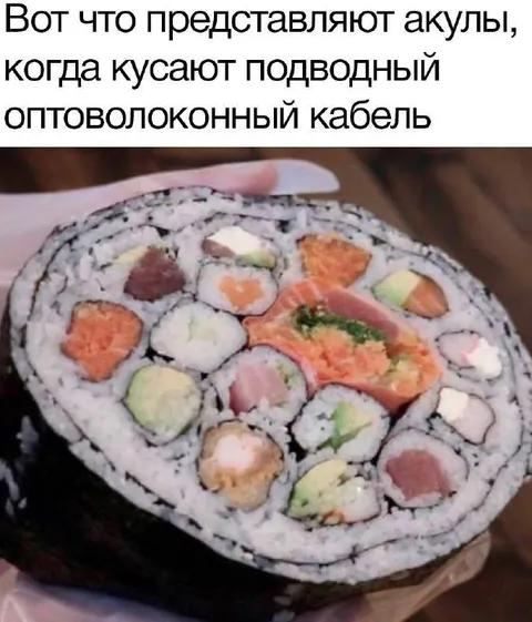 Акула кусает оптоволоконный кабель