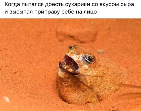 Сухарики сыпанулись на лицо