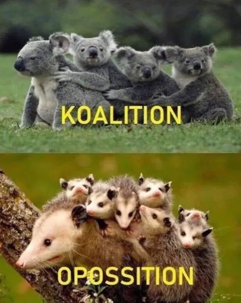 Koalition Versus Opposition