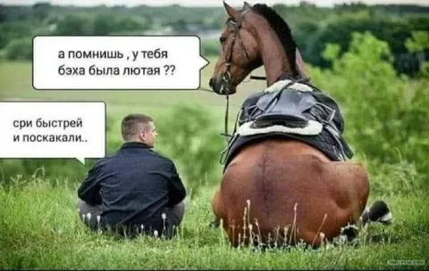 Бэха была лютая