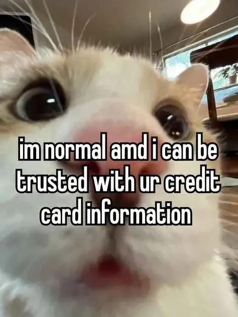 Cat Asking for Credit Card Info