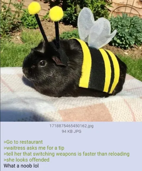 Bee Bunny Gamer Noob