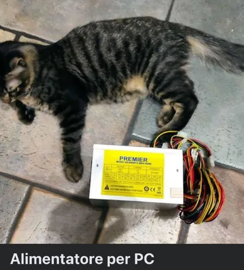 Gatto alimentatore per PC