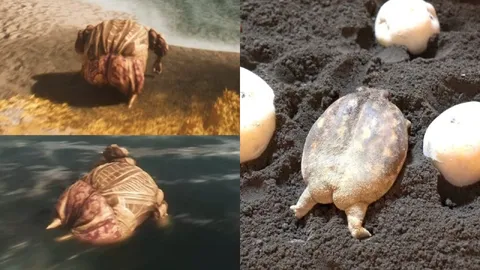 Странное существо и черепаха