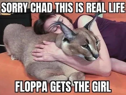 Floppa Gets the Girl
