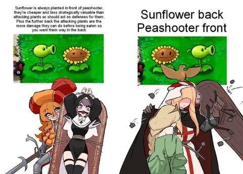 Sunflower Back, Peashooter Front