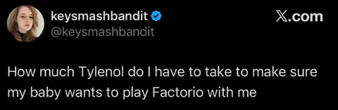 Baby Wants to Play Factorio