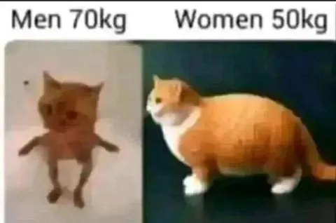Men 70kg Women 50kg Cats