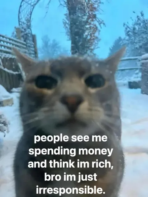 Irresponsible Spending Cat