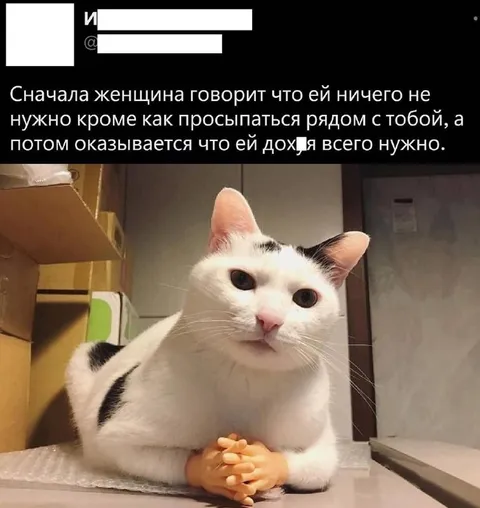 Женщине нужно дох*я всего