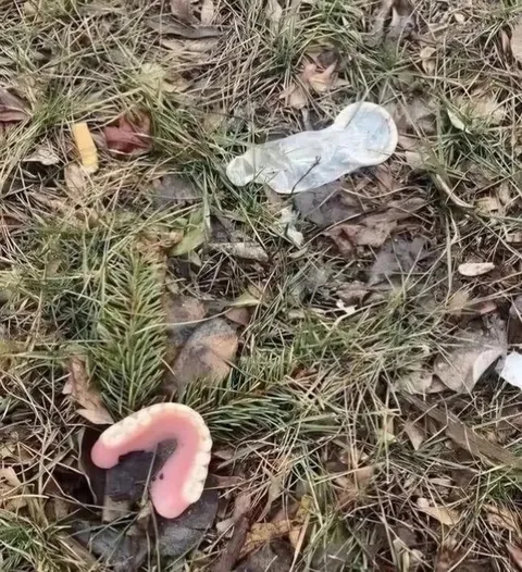 Странный предмет в траве