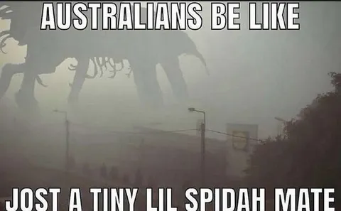 Australians Lost a Tiny Spider