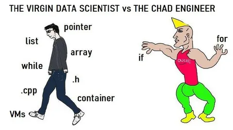 Virgin Data Scientist vs Chad Engineer