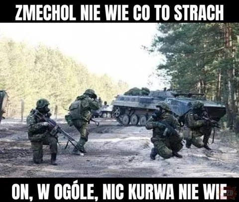 Zmechol nie zna strachu