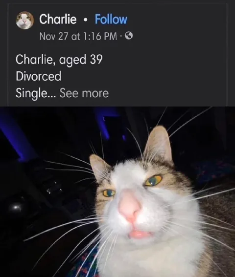 Charlie Aged 39 and Single