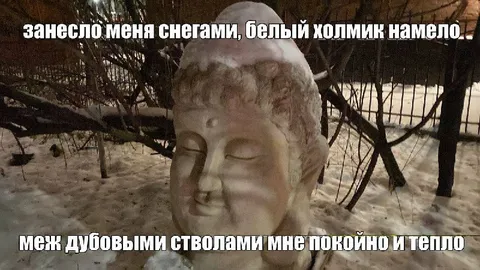 Белый холмик между дубовыми стволами