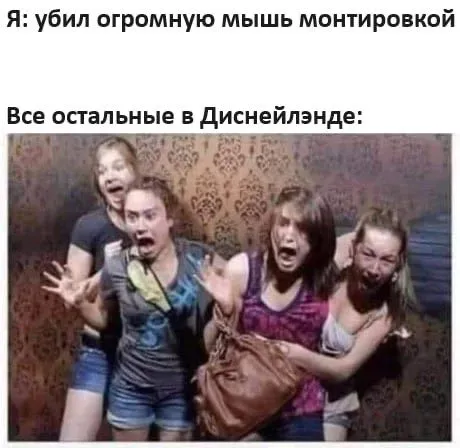 Огромная мышь в Диснейленде