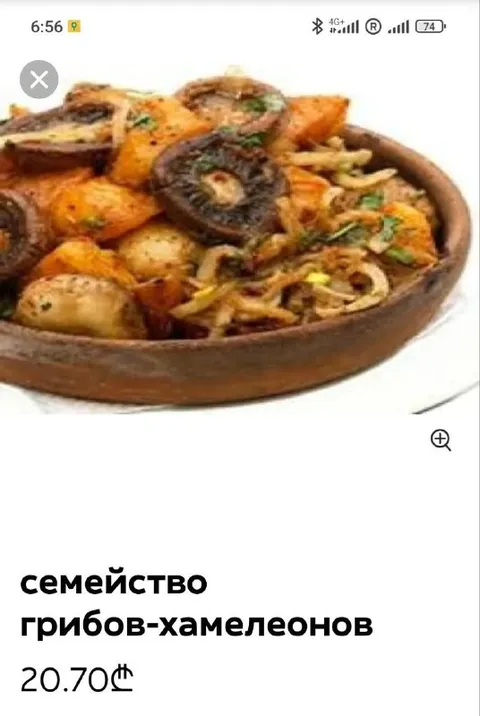 Семейство грибов-хамелеонов
