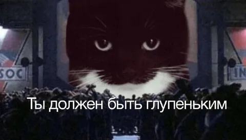 Ты должен быть глупеньким