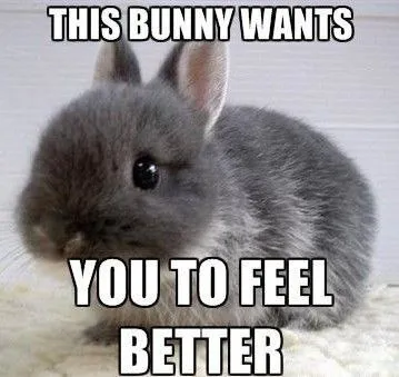 Bunny Wants You To Feel Better