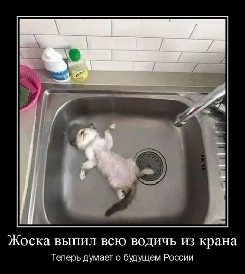 Кот выпил всю воду из крана