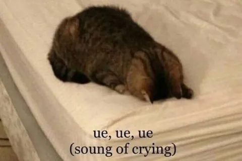Bunny Sound of Crying