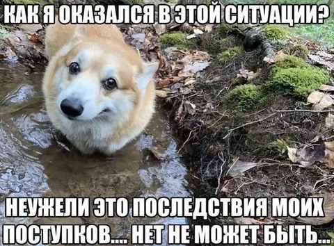 Как я оказался в этой ситуации