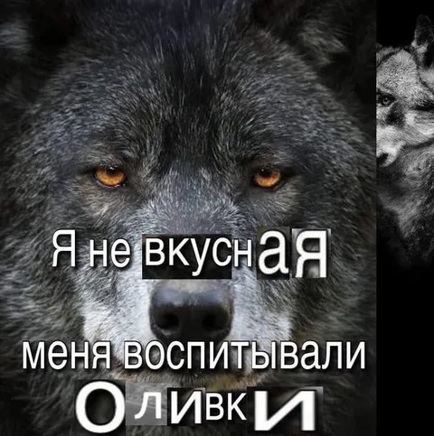 Волк не любит оливки