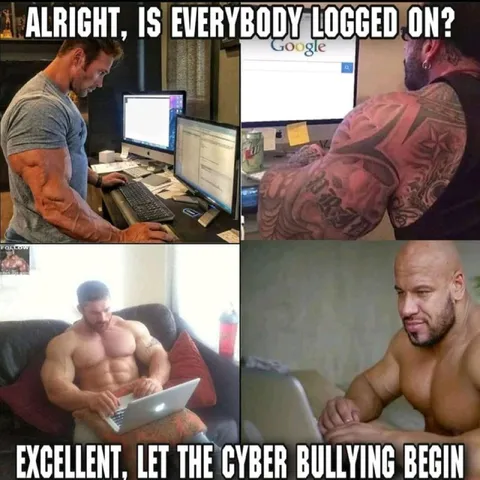 Let the Cyber Bullying Begin