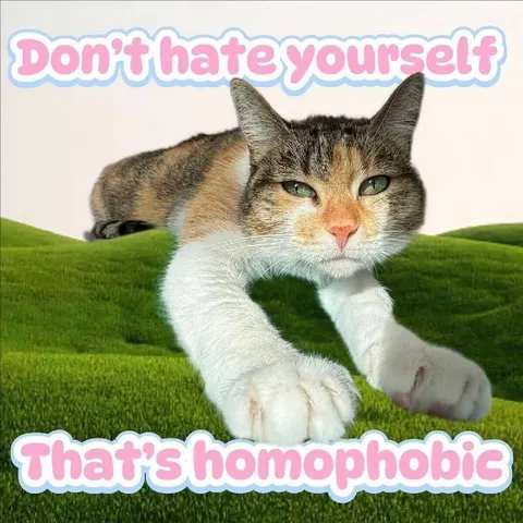 Don't Hate Yourself Homophobic Cat