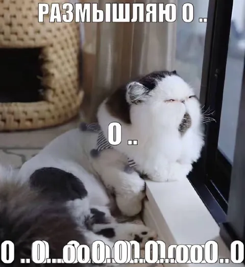 Кот размышляет о бесконечности