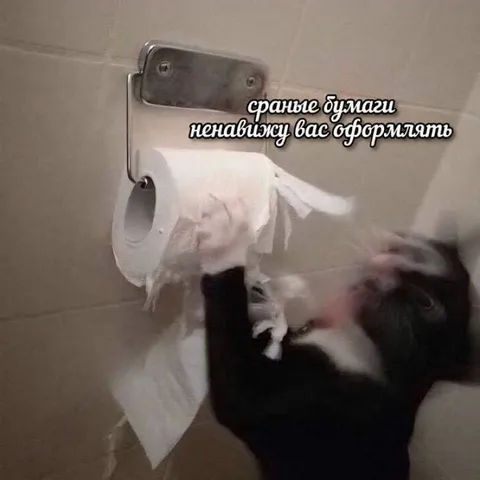 Ненавижу оформлять бумаги