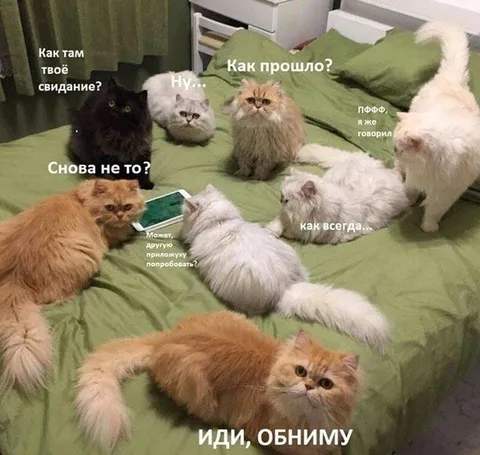 Свидание снова не то