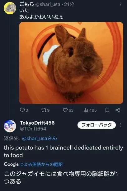 食べ物専用の脳細胞